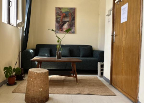 Spacious and sunny apartment, Addis-Ababa